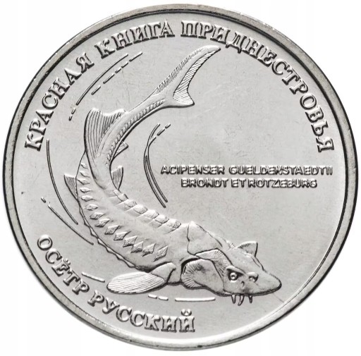 Zdjęcie oferty: Nadniestrze Jesiotr 1 rubel-menniczy