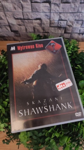 Zdjęcie oferty: SKAZANI NA SHAWSHANK - VCD/DVD LEKTOR PL