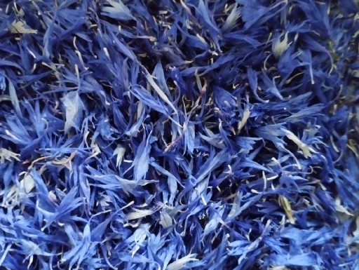 Zdjęcie oferty: Suszone kwiaty chabra bławatka - płatki 10 gramów 