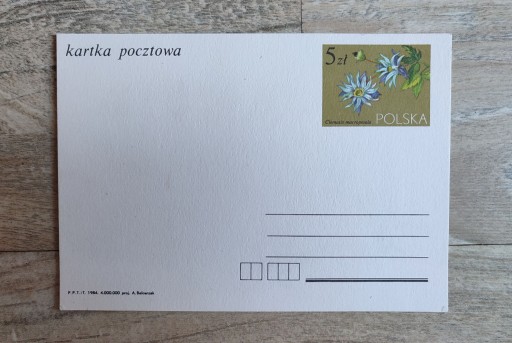 Zdjęcie oferty: Kartka Pocztowa 1984 r. Clematis macropetala projekt  A. Balcerzak