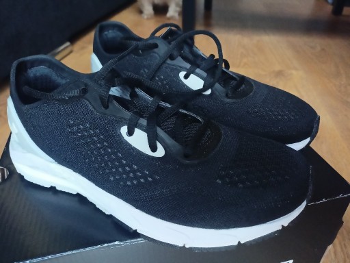 Zdjęcie oferty: Buty do biegania damskie r.38 Under Armour