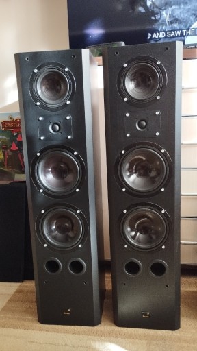 Zdjęcie oferty: Kolumny Diora Polsris 180. Możliwość posłuchania.Odbiór osobisty.