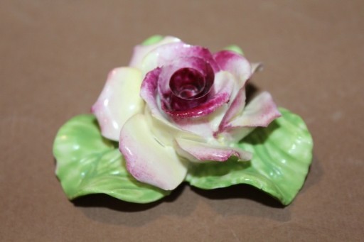 Zdjęcie oferty: Dekoracyjna róża Best Bone Denton, Anglia