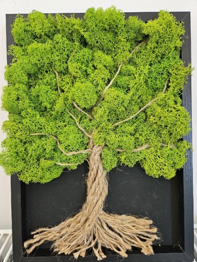 Zdjęcie oferty: Drzewo 3D , mech, prezent, obraz, ramka,handmade