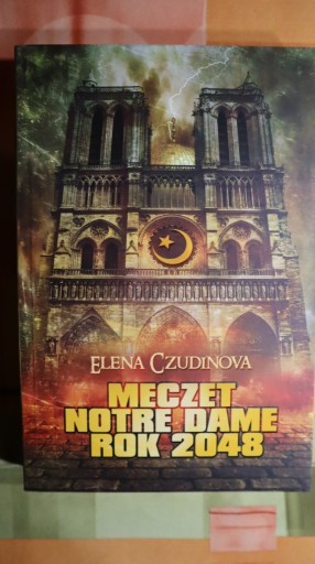 Zdjęcie oferty: Meczet Notre Dame. Rok 2048, Elena Czudinova