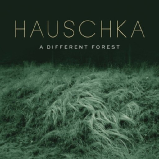 Zdjęcie oferty: Hauschka - A Different Forest (CD) FOLIA