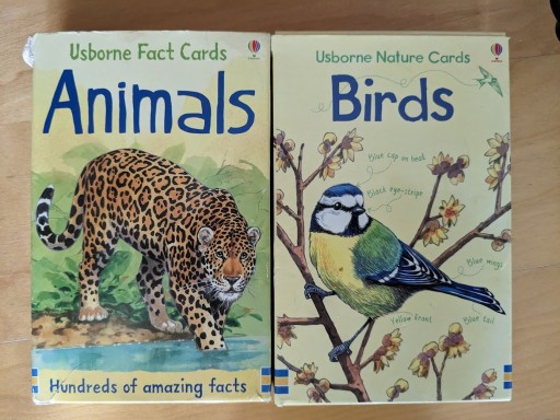 Zdjęcie oferty: Karty edukacyjne angielski Animals Birds