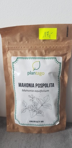 Zdjęcie oferty: Mahonia pospolita KORZEŃ CIETY PO TERMINIE