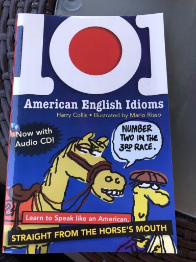 Zdjęcie oferty: 101 American English Idioms 