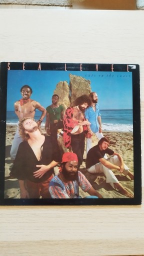 Zdjęcie oferty: Sea level Cats on the coast