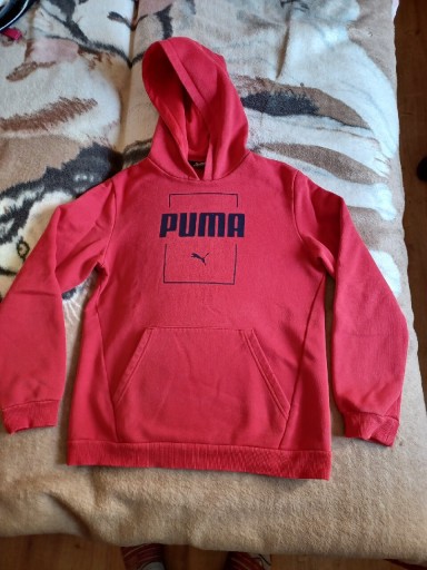 Zdjęcie oferty: Bluza PUMA z kapturem