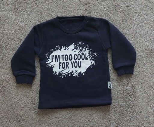 Zdjęcie oferty: Bluza dla chłopca 1+
