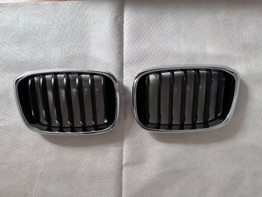 Zdjęcie oferty: BMW X3 X4 G01 G02 Nerki Grill Atrapa LEWA + PRAWA ORYGINAŁ