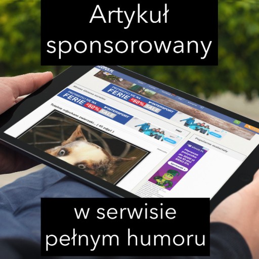 Zdjęcie oferty: Artykuł sponsorowany na serwisie Szopus.pl - humor