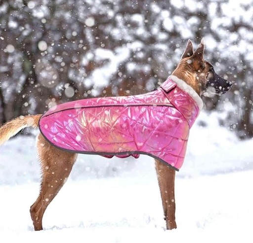 Zdjęcie oferty: Kurtka / ubranko dla psa różowa holograficzna r.L