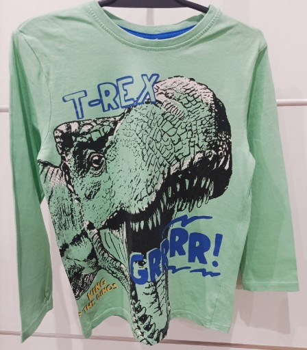 Zdjęcie oferty: Bluzka chłopięca 116 nadruk dinozaur