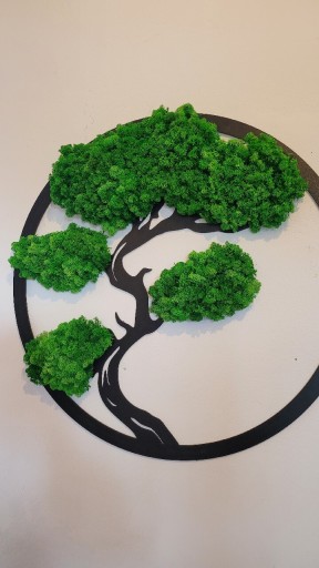 Zdjęcie oferty: Drzewko Bonsai,żywy obraz średnica 60 cm