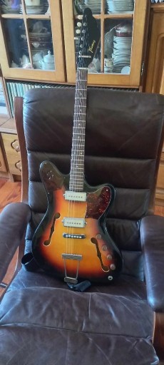 Zdjęcie oferty: Framus AM  5/111 rok 1969