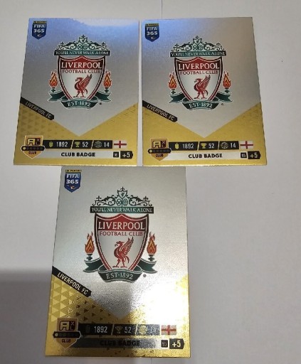 Zdjęcie oferty: Fifa 365 23 Liverpool 95