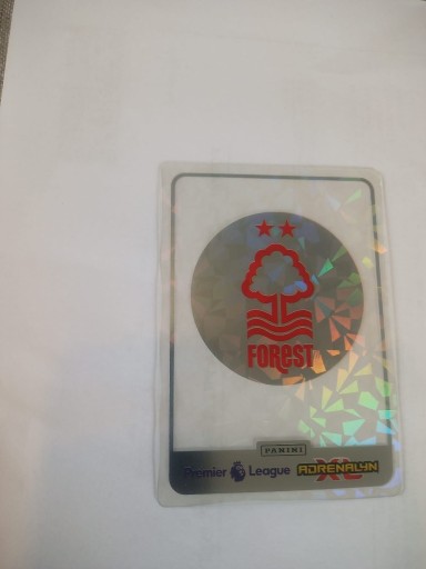 Zdjęcie oferty: Panini Premier League 2025 Crystal Crest Nottingham Forest