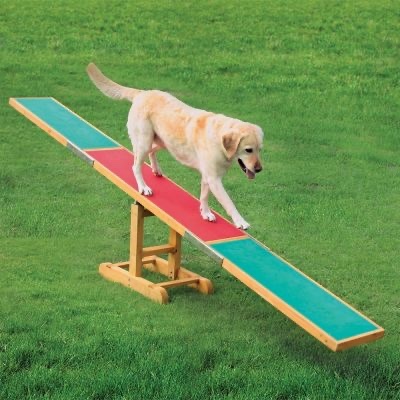 Zdjęcie oferty: zestaw agility trixie