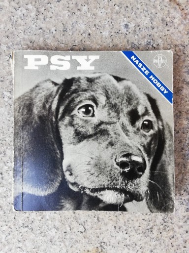 Zdjęcie oferty: książka "Psy nasze hobby" Henryk Lisiecki 