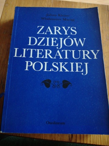 Zdjęcie oferty: Zarys dziejów literatury polskiej