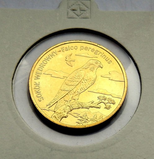 Zdjęcie oferty: 2 ZŁ- SOKÓŁ -  2008