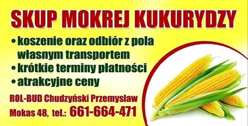 Zdjęcie oferty: Skup zbóż! Kukurydza,pszenżyto,pszenica i inne