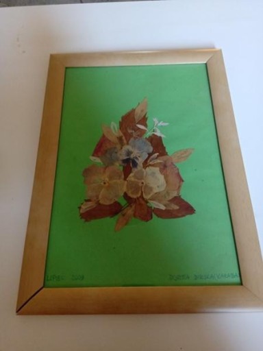 Zdjęcie oferty: Suszone kwiaty kompozycja na zielonym tle