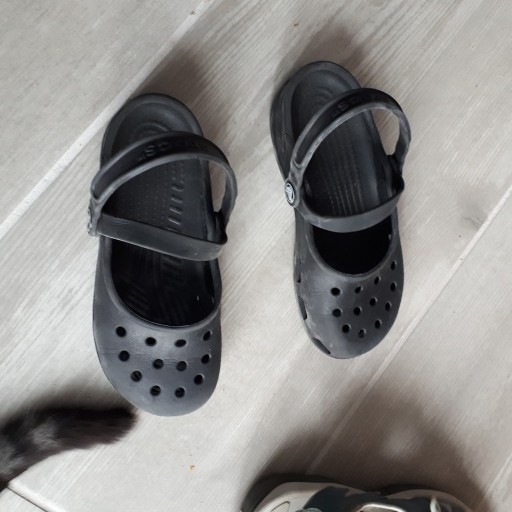 Zdjęcie oferty: Crocs wkładka 20 cm 