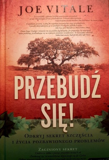 Zdjęcie oferty: Przebudź się Joe Vitale WARSZAWA