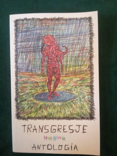 Zdjęcie oferty: Transgresje. Antologia.
