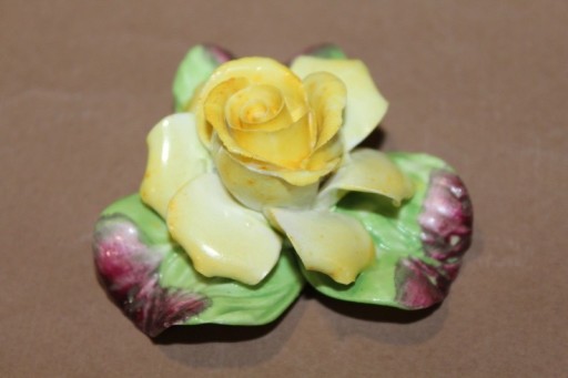 Zdjęcie oferty: Dekoracyjna róża Best Bone Denton, Anglia