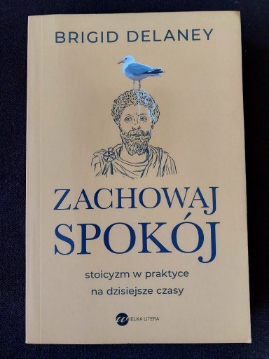 Zdjęcie oferty: Zachowaj spokój - Brigid Delaney