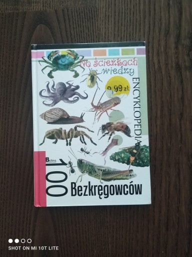 Zdjęcie oferty: 100 Bezkręgowców