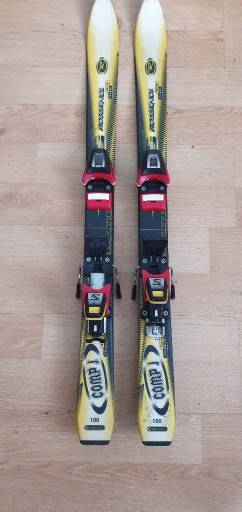 Zdjęcie oferty: Rossignol Race Fiberglass 100cm, Salomon S-300  