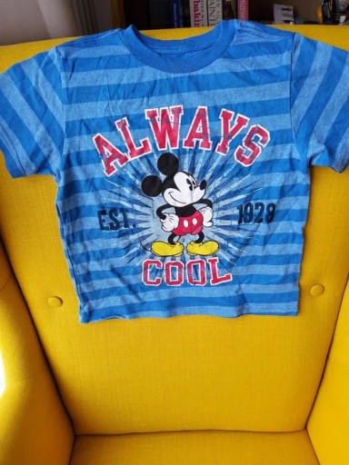Zdjęcie oferty: Tshirt chłopięcy Disney 115-126