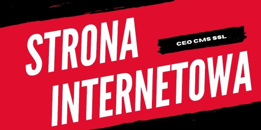 Zdjęcie oferty: PROFESJONALNE STRONY INTERNETOWE WWW