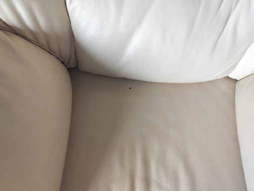 Zdjęcie oferty: Wajnert sofa 3 osobowa i fotel skóra naturalna 