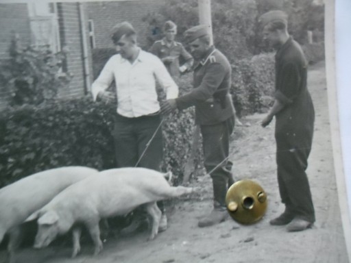 Zdjęcie oferty: Wermacht po sznurku za świniami.