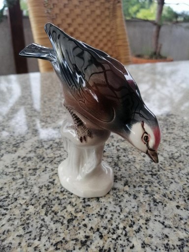 Zdjęcie oferty: Cudowny, piękny ptak