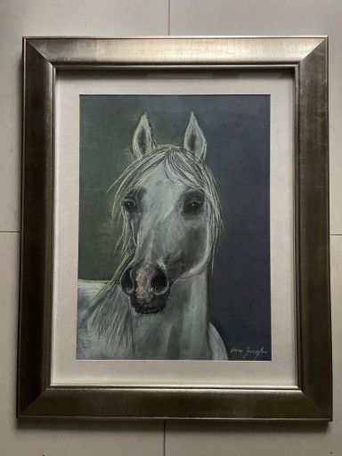 Zdjęcie oferty: Głowa konia, obraz w ramie za szkłem