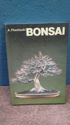 Zdjęcie oferty: A.Płochocki - Bonsai