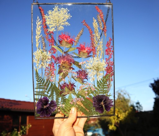 Zdjęcie oferty: Witraż, dekor z suszonych kwiatów pysznogłówka