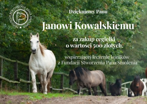 Zdjęcie oferty: Cegiełka wspierająca leczenie koników