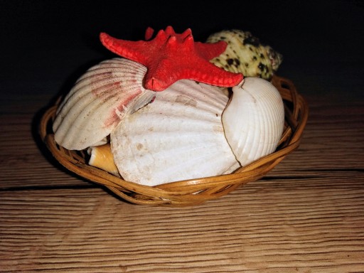 Zdjęcie oferty: Muszle morskie koszyczek ozdoba dekoracja