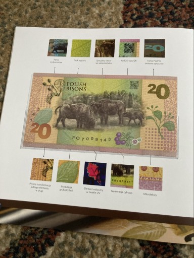 Zdjęcie oferty: Banknot testowy PWPW ŻUBR UNC w folderze