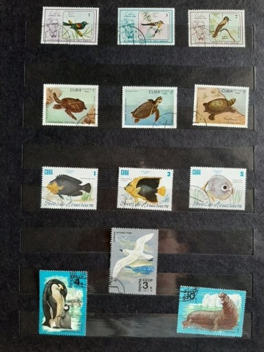Zdjęcie oferty: Klaser + znaczki poczt. Kuba, Polska, Rosja ok 160
