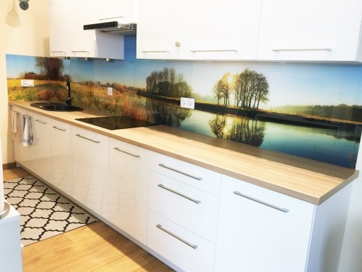 Zdjęcie oferty: Panele szklane do kuchni z grafiką